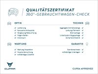 Cupra Terramar - Vorschau Bild 3