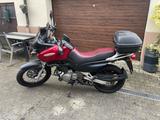 Suzuki Freewind XF650 - SUZUKI XF 650 FREEWIND
