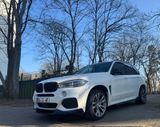 BMW X5 xDrive40d - 7 Sitze - M50d - Sternenhimmel - BMW X5 Gebrauchtwagen in Mannheim