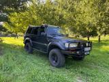 Toyota Land Cruiser 4.2 TD Station Wagon - HDJ 80 / 24V - Toyota Land Cruiser mit Diesel-Antrieb: Hdj