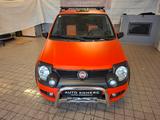Fiat Panda Cross 4X4 - Fiat Panda mit Diesel-Antrieb: Allradantrieb