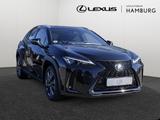 Lexus UX 300h F-Sport Design ACC LENKRADHEIZUNG LED - Lexus UX in Hamburg