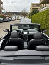 Volkswagen Beetle 2.0 TDI BMT ALLSTAR Cabriolet ALLSTAR - Volkswagen Beetle: TDI