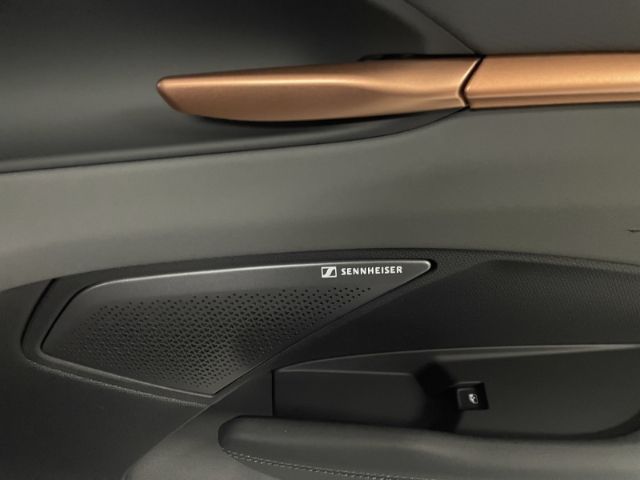 Cupra Terramar - Bild 20