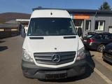 Mercedes-Benz Sprinter II Kasten 319 CDI Mixto AHK 3,5T V6 XXL - Mercedes-Benz Sprinter: Xxl