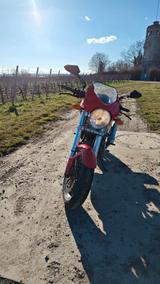 Ducati Monster 620 ie - DUCATI MONSTER 620