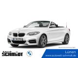 BMW M240i Cabrio Innovationsp. + GARANTIE - BMW: Garantie