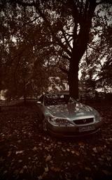 Honda Accord Coupe V6 3.0 Tausche Nur Diesel - Honda Accord: Coupe, V6