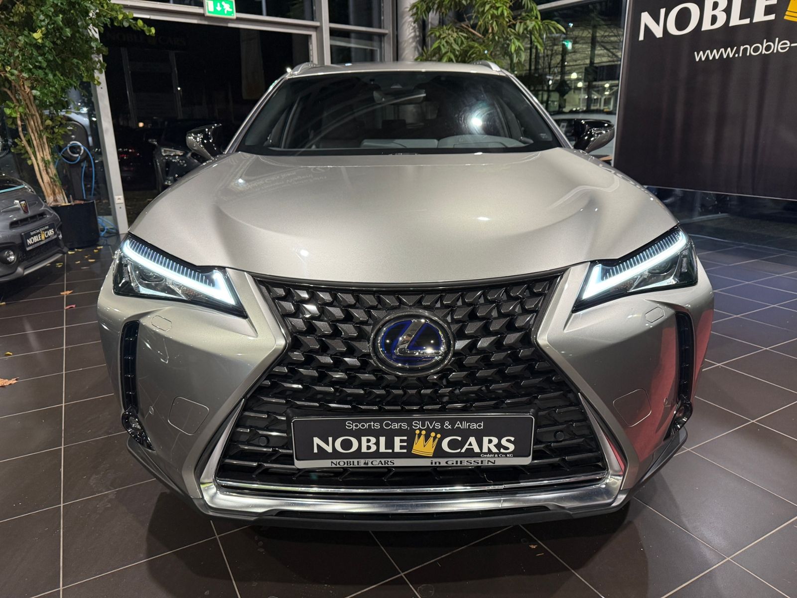 Fahrzeugabbildung Lexus UX 250 h RFK LED ALU 18"