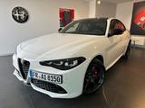 Alfa Romeo Giulia 2.0 Turbo Q4 AT8 Tributo Italiano - Alfa Romeo Gebrauchtwagen in Freiburg