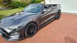 Ford Mustang 5.0 Ti-VCT V8 GT Auto GT - Ford Mustang in Kassel