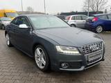 Audi S5 - Audi S5: 3 Türen