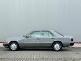 Mercedes-Benz 300d Turbo, Liasgrau/beige,Klima,kein Winterbetr - Mercedes-Benz 300: Turbo