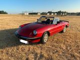 Alfa Romeo Alfa Spider 2.0 - gebrauchte Alfa Romeo Spider aus dem Jahr 1989