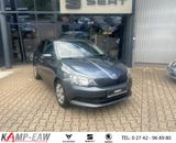 Skoda Fabia Cool Edition 60PS SHZ+DAB+KLIMA+TÜV+NEU - Skoda Fabia: 60 Ps