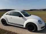 Volkswagen VW Beetle Volkswagen Käfer PKW - Volkswagen: Sportwagen, Kaefer