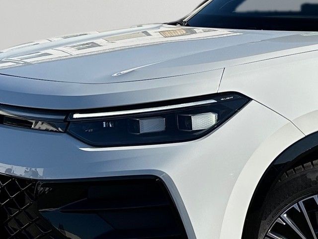 Fahrzeugabbildung Volkswagen Tayron 2.0TDI DSG 4Motion R-Line AHK+PANO+STDHZG