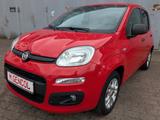 Fiat Panda More - gebrauchte Fiat Panda aus dem Jahr 2018