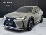 Lexus UX UX 250h 2.0 Premium 2wd cvt - graue Lexus UX