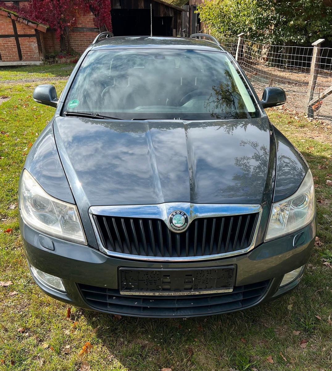 Skoda Octavia 2009 — rear view