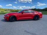 Ford Mustang 2.3 / Schalter / Liebhaberfahrzeug - Ford Mustang aus 2017
