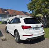 Audi SQ5 3.0 V6 TDI quattro Competition *s-heft* - Audi: Geländewagen, Q6