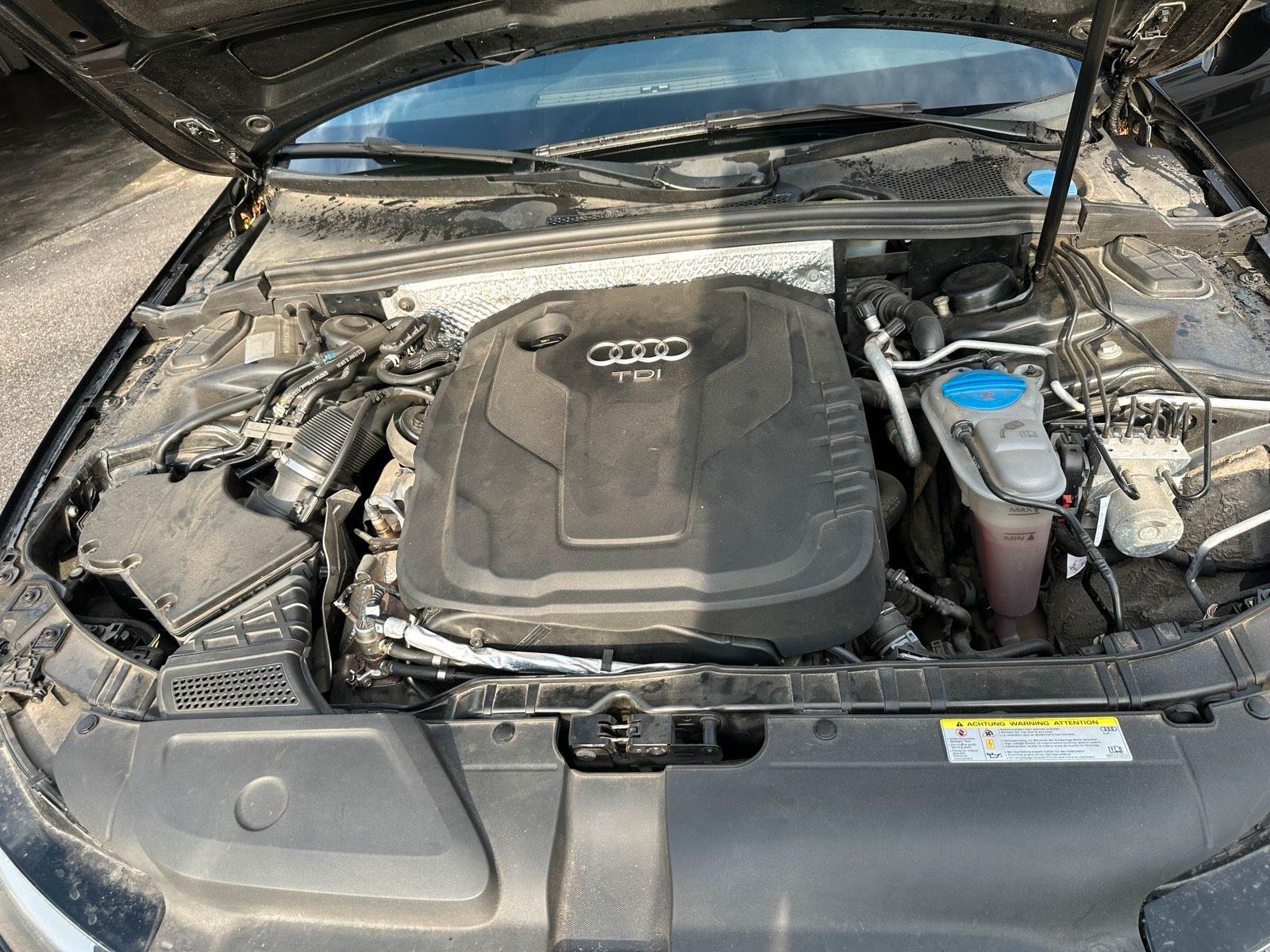 Audi A4 2015 — photo 8