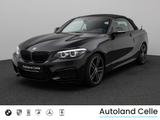 BMW 218i Cabrio M Sport PDC HiFi AHK Fernlichtassist - BMW 2er Reihe aus 2021