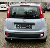 Fiat Panda Base 1.2 - gebrauchte Fiat Panda aus dem Jahr 2022