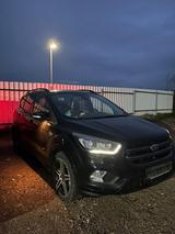Ford Kuga 2,0 EcoBoost 4x4 178kW Titanium Autom. ... - Ford Kuga: Standheizung