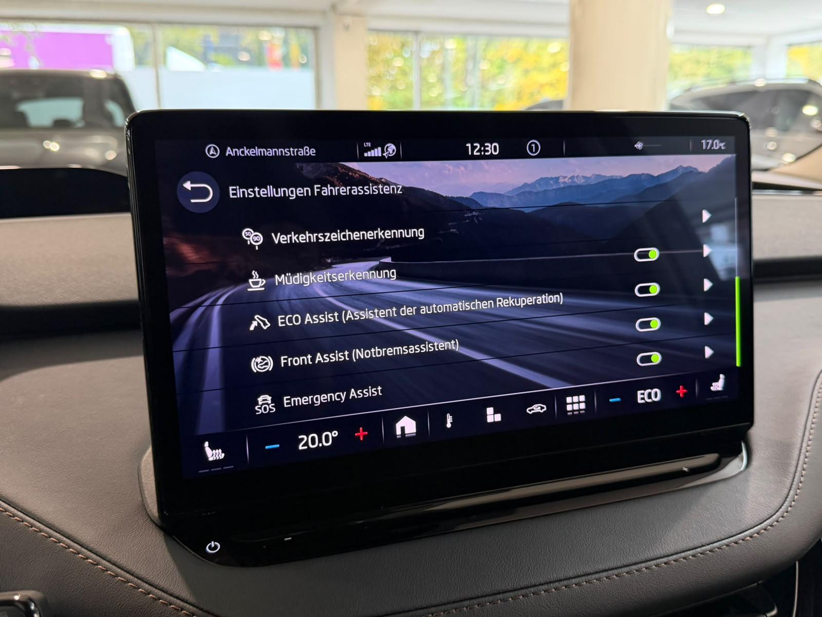 Skoda Enyaq 80 Suite *Crystal Face*Smart Link*LED*1H*