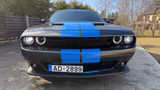 Dodge Challenger - Dodge Gebrauchtwagen von 2017