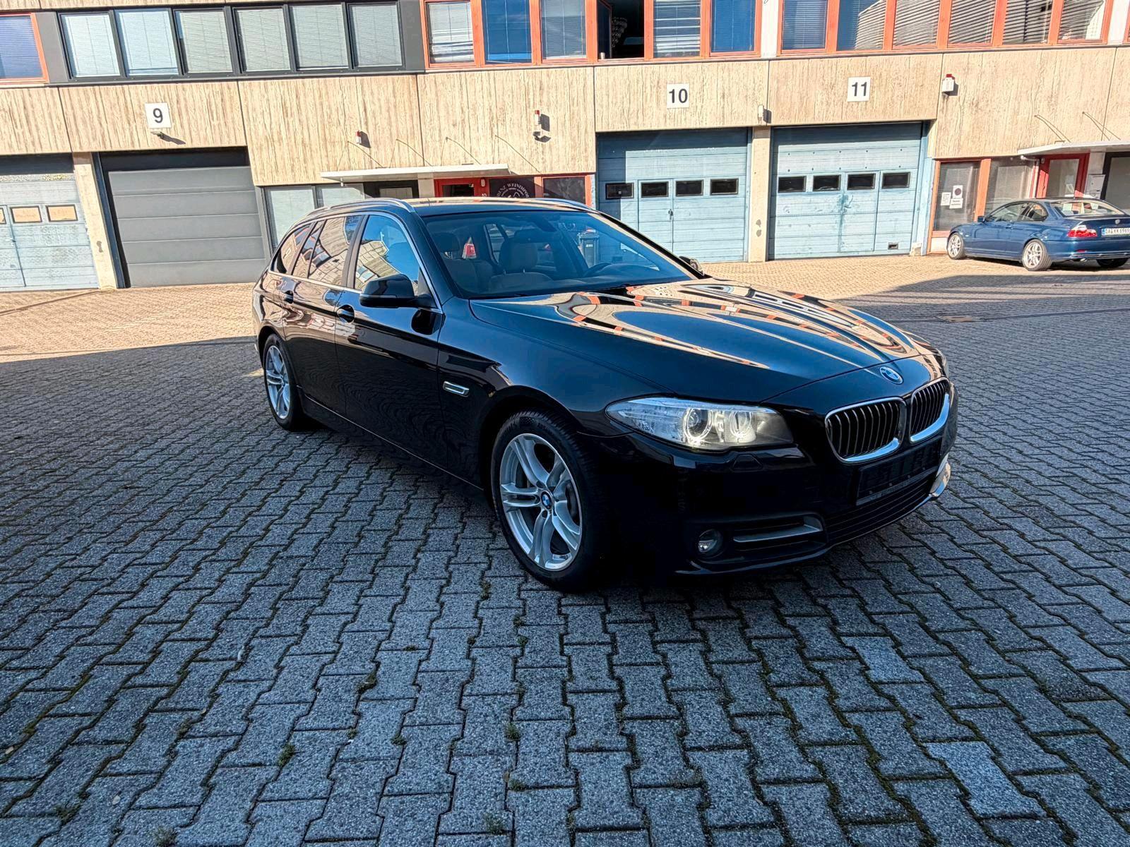 BMW 520 2013 — вигляд ззаду
