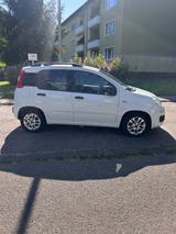 Fiat New Panda 1.2 8V LOUNGE LOUNGE