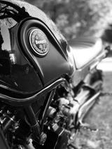 Benelli LEONCINO 500 Trail - BENELLI LEONCINO