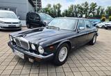 Jaguar Double Six V12 Bestzustand! Deutsches Fahrzeug - Jaguar: V12