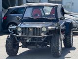 Andere Quadix Buggy 800 LOF Zul. Seilwinde 1.Hand - Andere mit Benzin-Antrieb: Cabrio