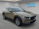 Mazda CX-30 2.5L e-SKYACTIV-G 140PS *Takumi*  LEDER - Mazda mit Benzin-Antrieb: Geländewagen, Automatik