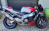 Aprilia Tuono 1000R Daytona - APRILIA TUONO 1000