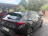 Cupra Formentor 2.0 TSI DSG / 310 PS / 24820 Km Black  - CUPRA Formentor KM