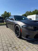 Dodge Charger 6.4l V8 - Dodge Charger aus 2021
