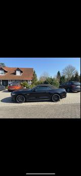 Ford Mustang 5.0 Ti-VCT V8 GT Auto GT - Ford Mustang mit Benzin-Antrieb: Cabrio, 5.0