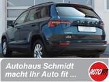 Skoda Karoq Ambition AUTOGAS - Skoda mit LPG-Antrieb
