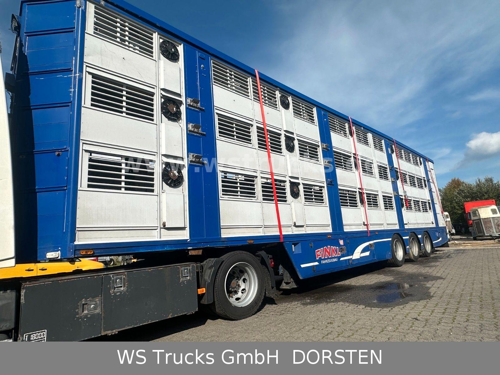 Andere Finkl  3 Stock Hubdach Typ 2  "Unfall"