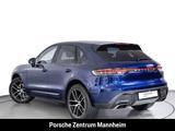 Porsche Macan Luft Bose ACC 14-Wege Pano Kamera Spurwech - Porsche Macan in Mannheim