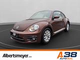 Volkswagen Beetle 1.2 TSI Design +PARKPILOT+LM+SITZHEIZUNG - gebrauchte VW Beetle aus dem Jahr 2017