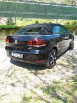 Volkswagen Golf 1.6 TDI LIFE BMT Cabriolet LIFE BlueMot... - Volkswagen Golf mit Diesel-Antrieb: Cabrio, 1.6