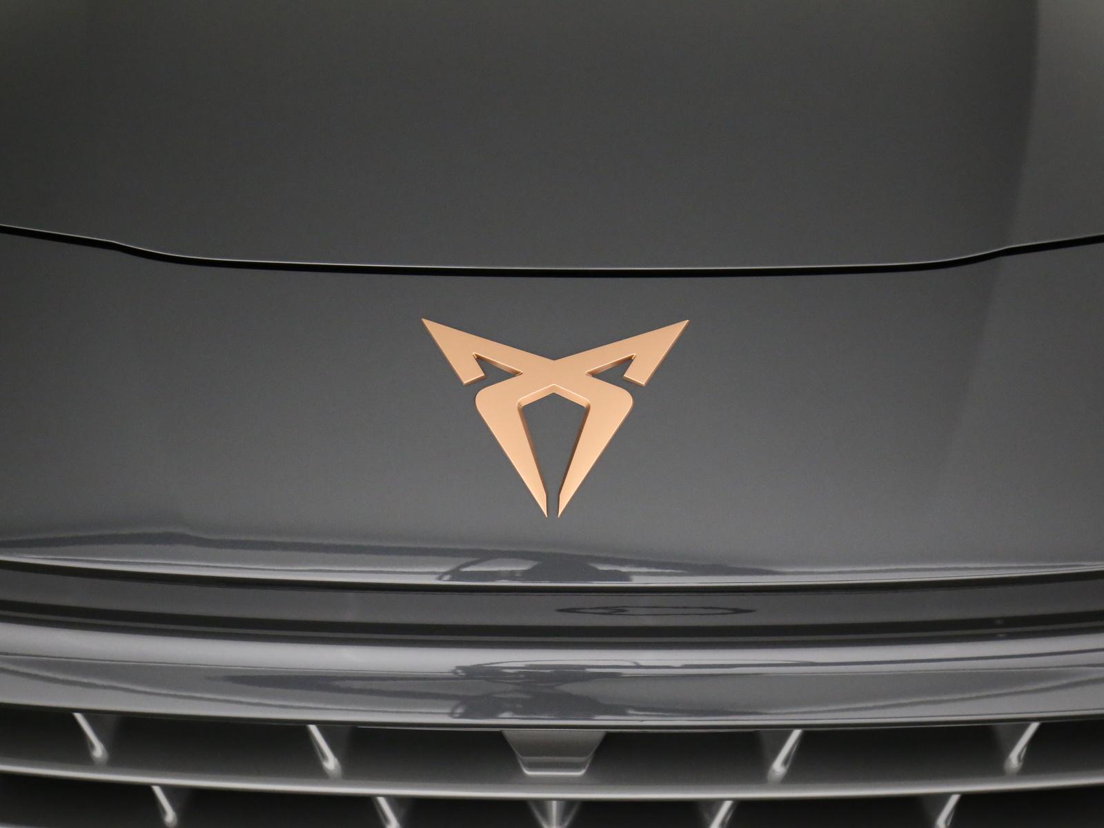 Cupra Terramar 2.0 TSI VZ 4Drive DSG LED AHK ACC Kame, миниатюра 30