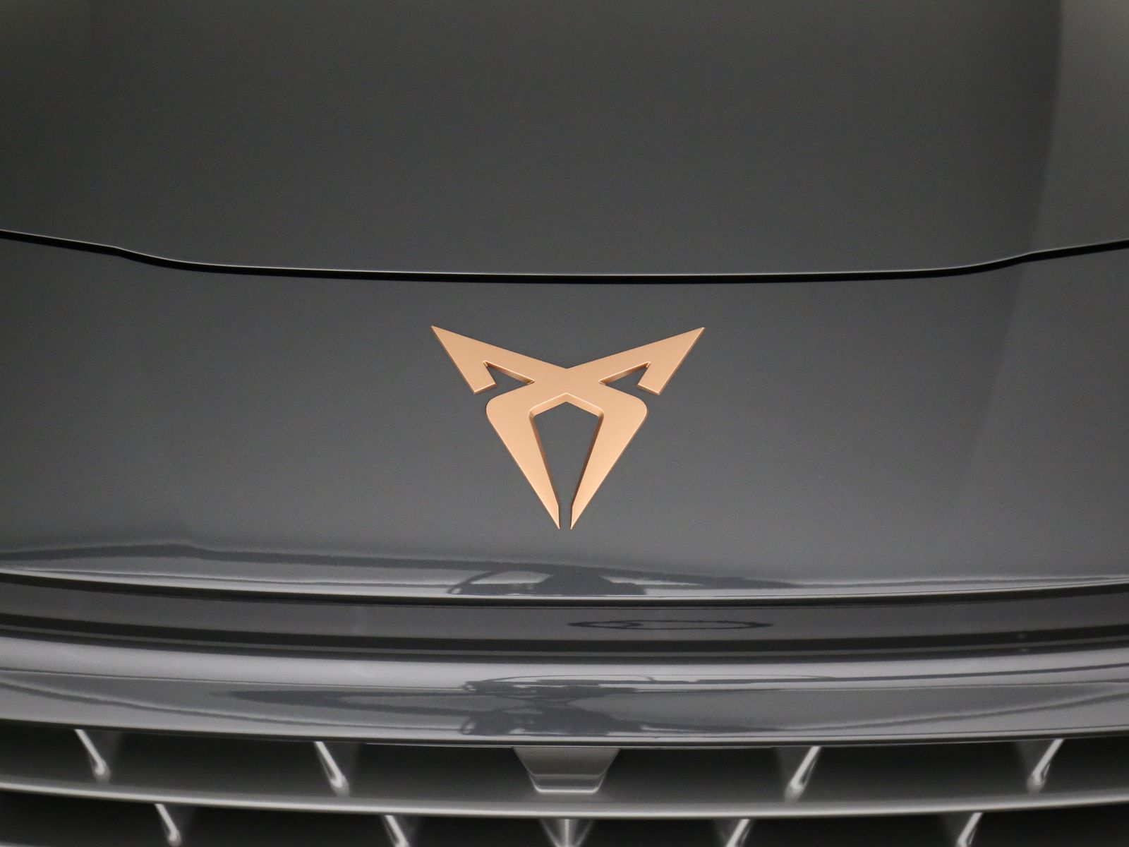 Cupra Terramar - Bild 30