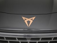 Cupra Terramar - Vorschau Bild 30